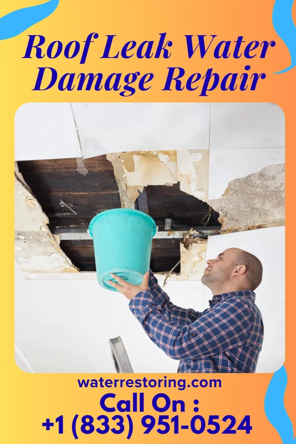 Roof Leak Water Damage Repair in Shoshoni, WY