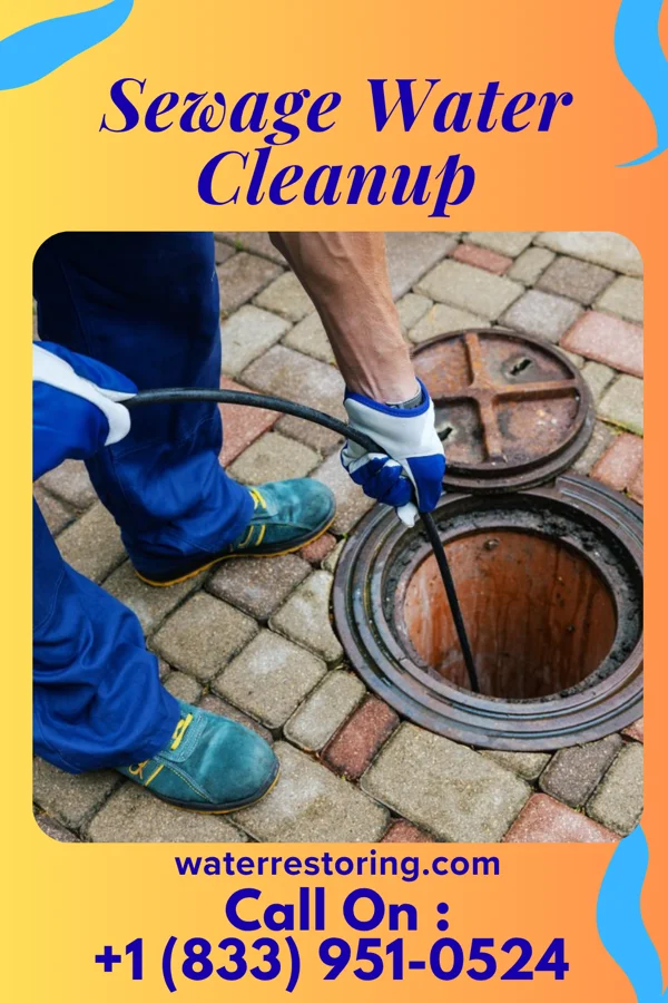 Sewage Water Cleanup in Shoshoni, WY